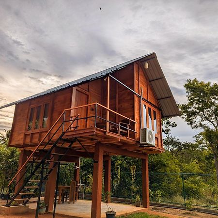 Lion Wood Treehouse Villa Talkote Luaran gambar