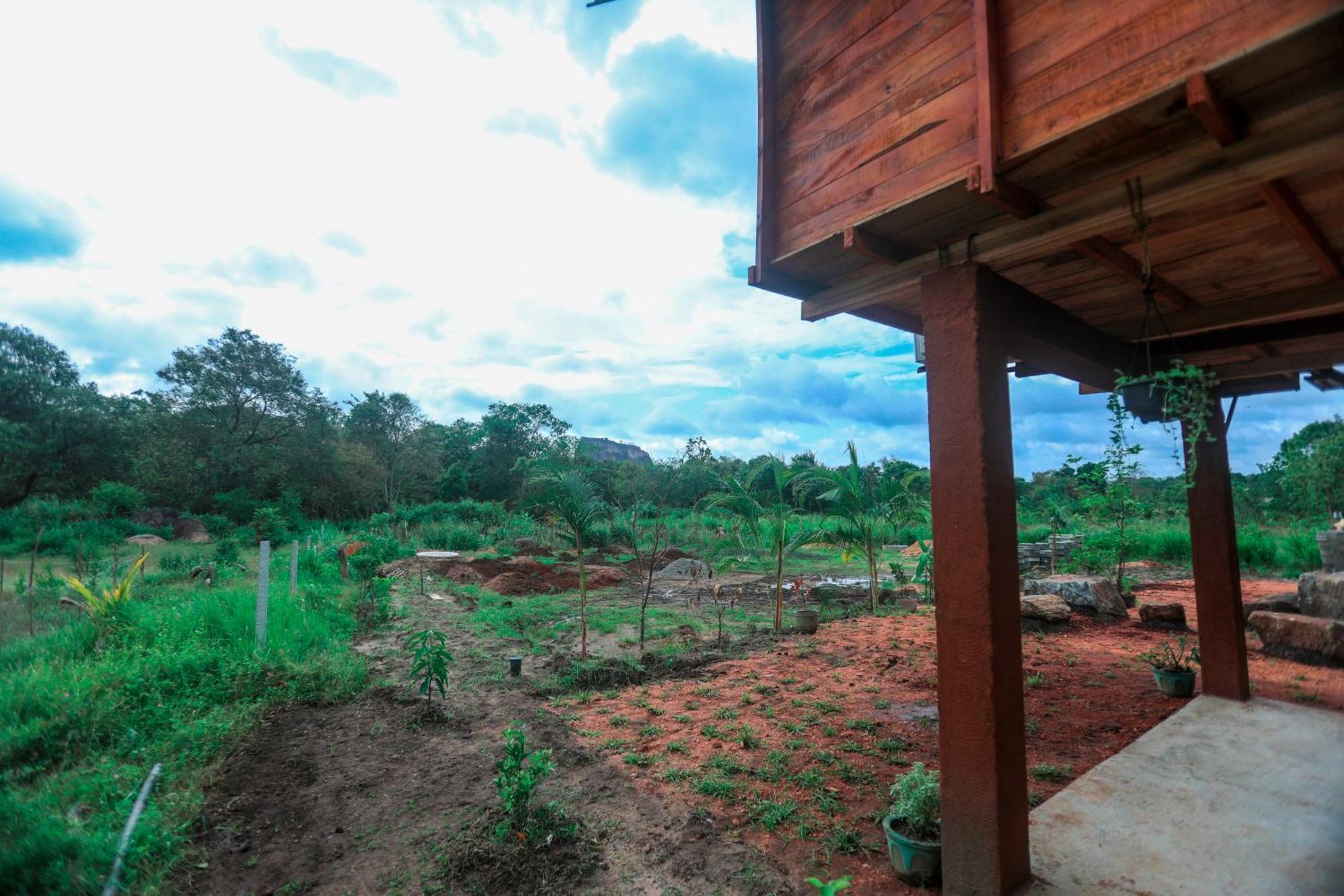 Lion Wood Treehouse Villa Talkote Luaran gambar