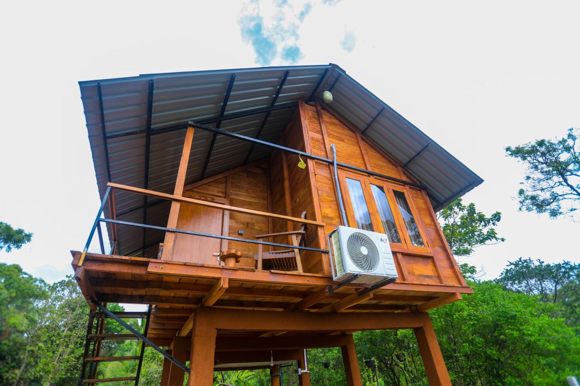 Lion Wood Treehouse Villa Talkote Luaran gambar