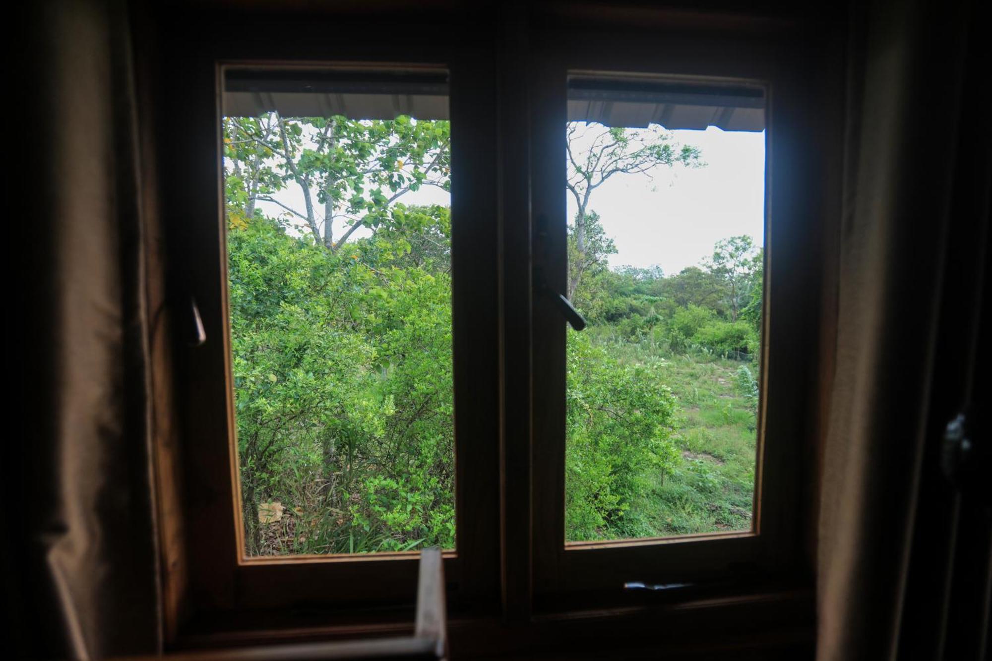 Lion Wood Treehouse Villa Talkote Luaran gambar