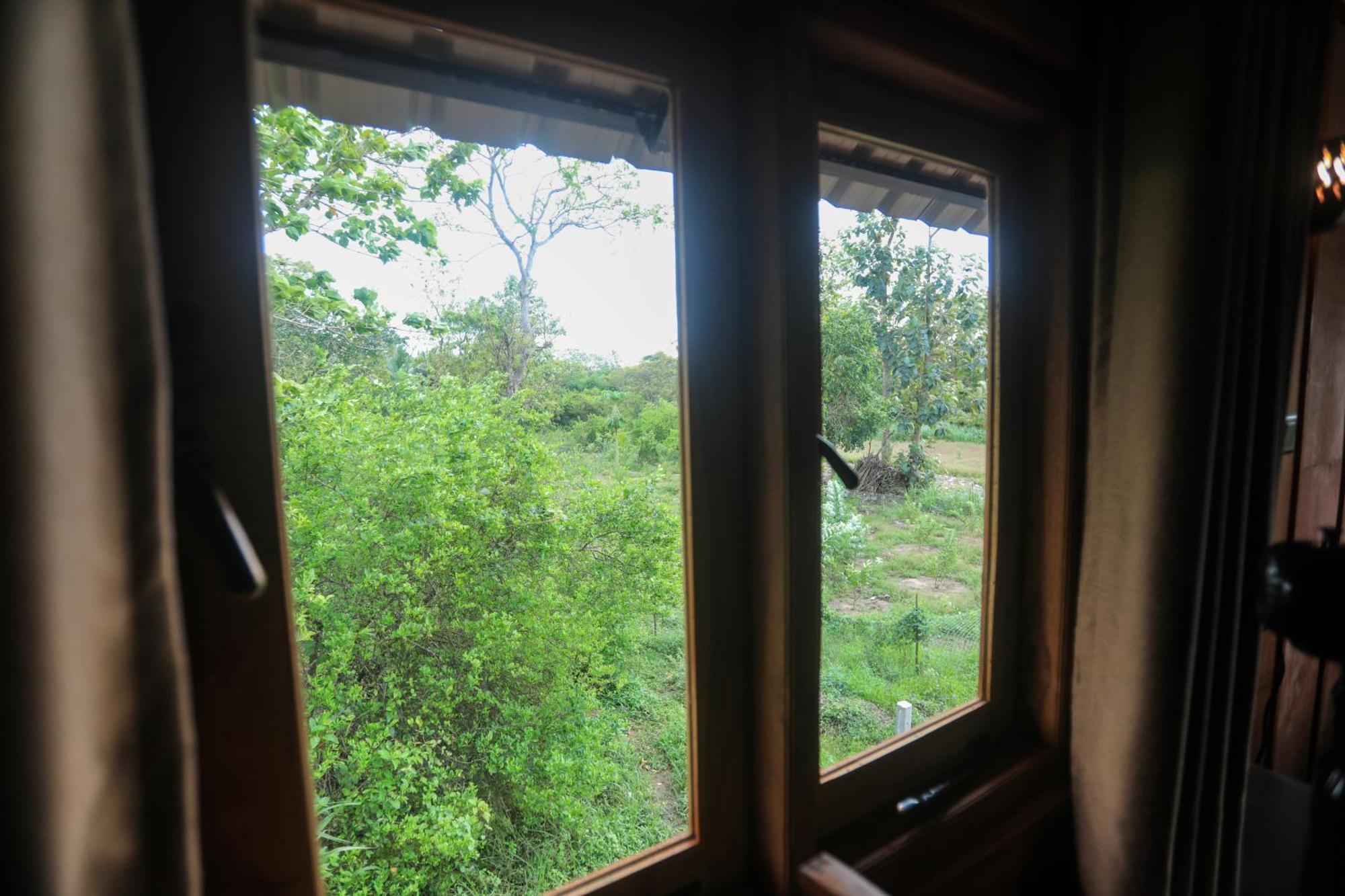 Lion Wood Treehouse Villa Talkote Luaran gambar
