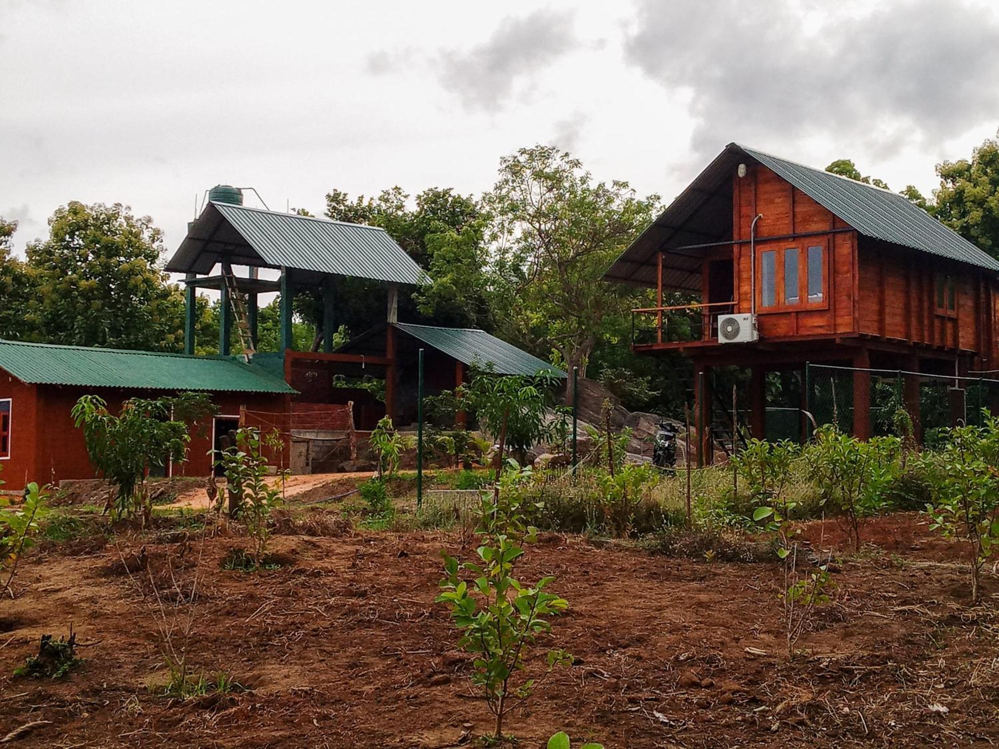 Lion Wood Treehouse Villa Talkote Luaran gambar