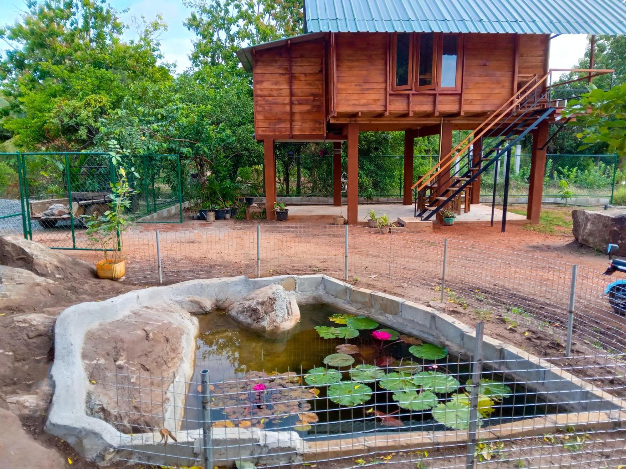 Lion Wood Treehouse Villa Talkote Luaran gambar